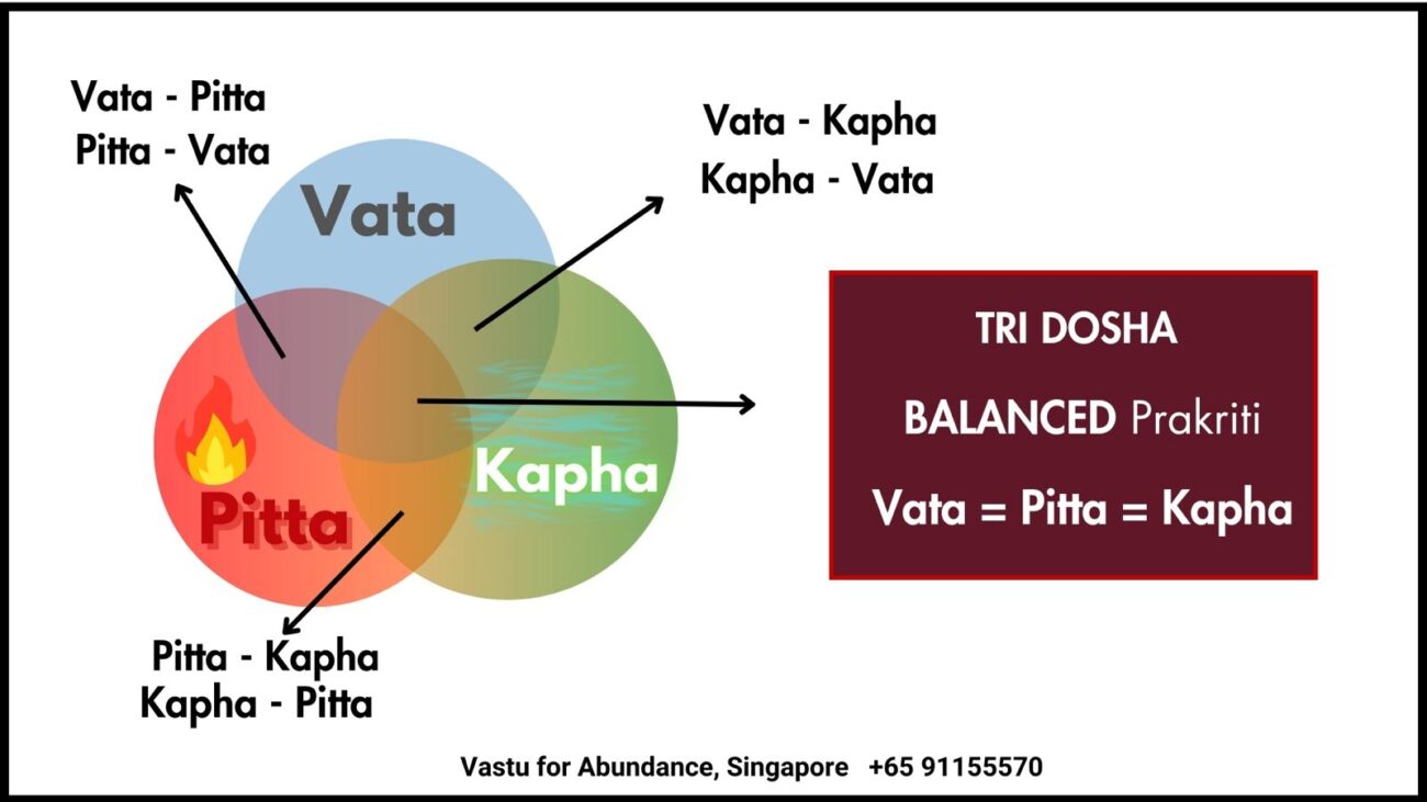 The 3 Types of Prakriti Explained